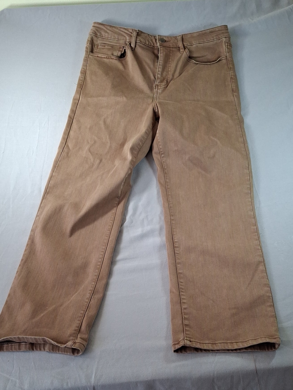Well Worn Women's Straight Leg Jeans in Brown